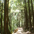 橫嶺山自然步道 - 1