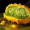 奇珍異果 - 刺角瓜