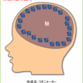 當上了天皇就只剩下惱了啊ˊˇˋ　還有最中間的一個秘密姆咪<br>
就是那個第一句話啊　哈哈哈哈（硬要扯）