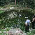 生態池