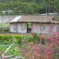 泰源幽谷裡原住民屋