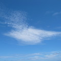 像鳥的雲