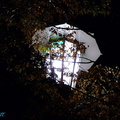 大阪城~夜涼如水ㄉ街燈下