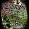 2009 陽明花季
