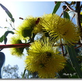 Botanic Garden