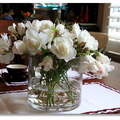 康妮's 玫瑰花園 ~ 很慢的白玫瑰