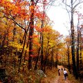 Shenandoah National Park in Virginia, U.S.A. (hiking photo1)