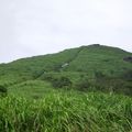 大屯山車道回望稜線步道，右側山坡上可見涼亭。