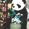 大大小小的熊貓 在北京機場跟我招手哩!可愛的熊貓們 我來了 我終於來了!2005攝於北京