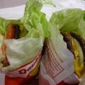 In N Out Protine Burger