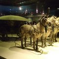博物館內展示之車馬陣