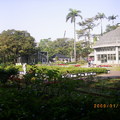 2009/01/18台北歷史博物館 植物園 - 29