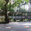 2009/01/18台北歷史博物館 植物園 - 31