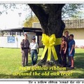 Tie a yellow ribbon 'round the ole oak tree