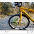 沙灘上的回憶-黃金海岸堤頂自行車道 - 17