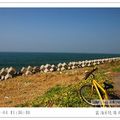 沙灘上的回憶-黃金海岸堤頂自行車道 - 25
