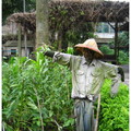 猜猜看，這稻草人出現在台北市博愛特區的哪裡？答案就是植物園。在溫室旁有個民生植物區，栽有數種農家常見的作物，前方還放了一個古錐的稻草人。