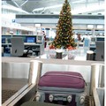 耶誕味-機場的耶誕樹送我回家