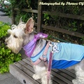 purple scarf at Quandu park1