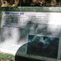 太魯閣綠水文山步道 - 5