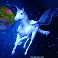 Pegasus - 飛馬當先