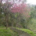 大山背是新竹景色宜人的後花園。



