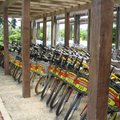 台東森林公園~~準備騎腳踏車遊園