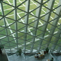 深圳圖書館由裡往外看，疊上玻璃的是綠油油的草坪。