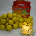 檸檬香橙 - 1