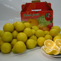檸檬香橙 - 2