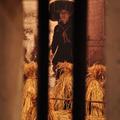 窗櫺外層層疊疊的務農婦。窗櫺的支柱，外面是假的稻草，最後面是一張很大型的照片，裡有站著一位農婦。
