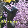 裸女雕像和杜鵑形成對比的春光