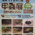 2011 青年公園甲蟲展 - 1
