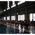 2008-03~06 游泳教學 - 9