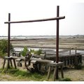 2008-04-03 鹽田生態文化體驗 - 27