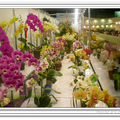 2009台北國際花卉展04