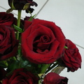 花市買的玫瑰