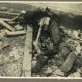 Chinese Victims in Japanese Sino-Japan War (WWII)
日寇惡行