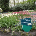 世界著名花展，每年春季開放兩個月，三月至五月，以供參觀‧以鬱金香為主，亦有別種花卉‧