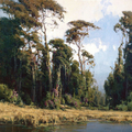 Trees of Ireland by Scott Christensen, 2006, oil, 48 x 48 in. 122 x 122 cm 
此圖片載選於 http://www.artistdaily.com/部落格