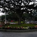臺北公園花園