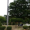 臺南公園花園區