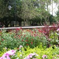 臺南公園