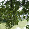 新竹公園麗池