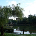 臺灣大學醉月湖