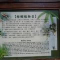 台北植物園棕櫚植物區