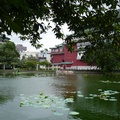 台北植物園荷花池
