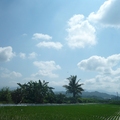 三榮村-西臨西勢溝與聖賢村為境，東連嘉南大圳與東山村、東中村為鄰，南臨頭前溝與東河村相望，北以急水溪與後壁鄉(烏林村)為界。四周似金龍環繞，永樹立在手掌形上。面積1.434平方公里。