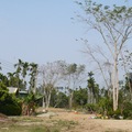 番路江西村，位於下坑村、內甕村與嘉義市之間，有縣道159甲線經過。