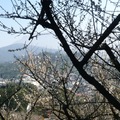 梅山公園，位於嘉義縣梅山鄉，昔時為嘉義八景之一的「梅坑月霽」所在，1930年開始種植梅樹，1934年移植三千株梅花。梅山公園園中遍植梅樹、桃、李、牡丹、杜鵑、櫻花、聖誕紅等花木，在梅花盛開時節，登上梅亭、賞梅花、飲梅茶，頗具詩情畫意。